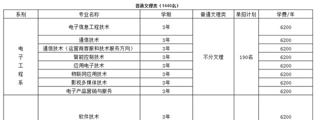 信息電子技術(shù)服務(wù) 重慶航天職業(yè)技術(shù)學(xué)院的特色與展望