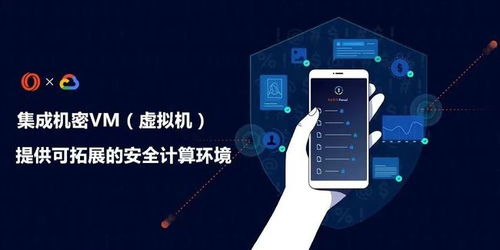 加密世界的數據綠洲 Oasis Network能否顛覆聯盟鏈的數據處理與存儲格局？